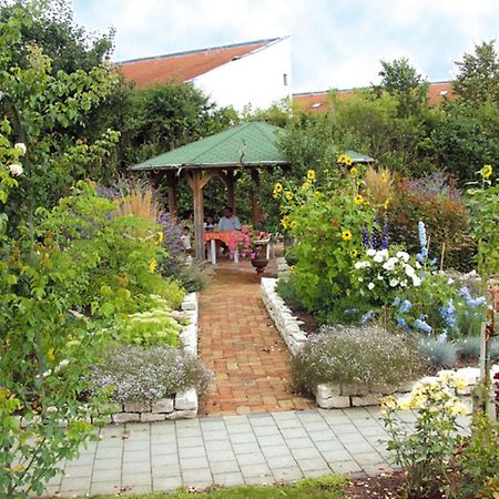 Pension Martinus นอยชตัดท์ อัน แดร์ โดเนา ภายนอก รูปภาพ